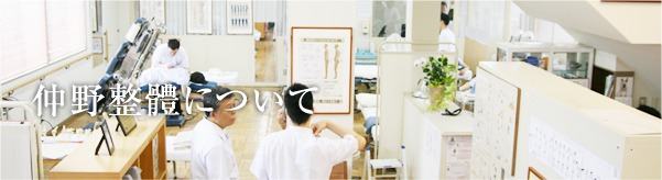 ���쐮�̂ɂ���