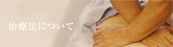 ���쐮�̗̂��j